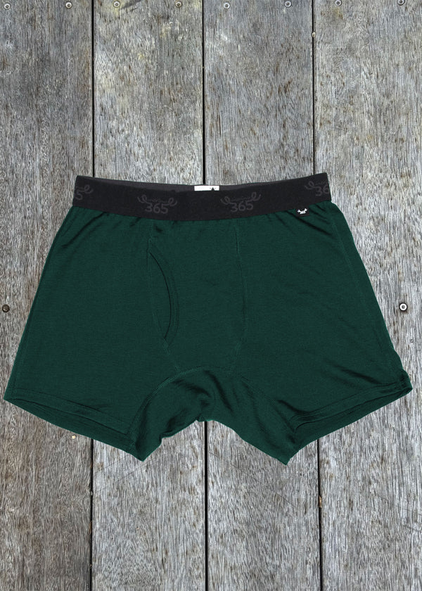 Merino 365 Mens Boxer Briefs I Balsam Green