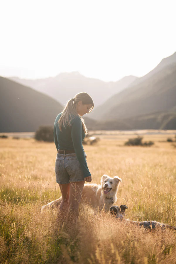 Merino 365 Womens Long-sleeve Tee I Violet